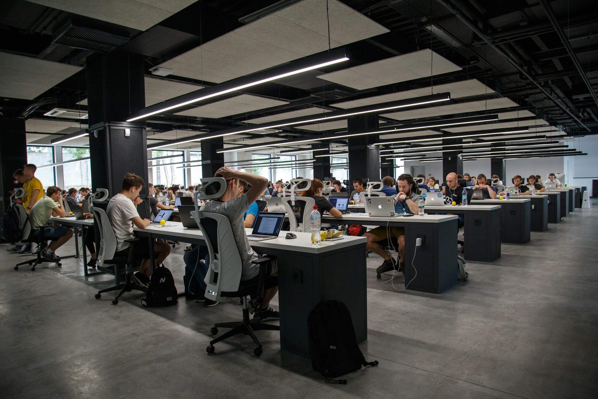 The ippi team at the office