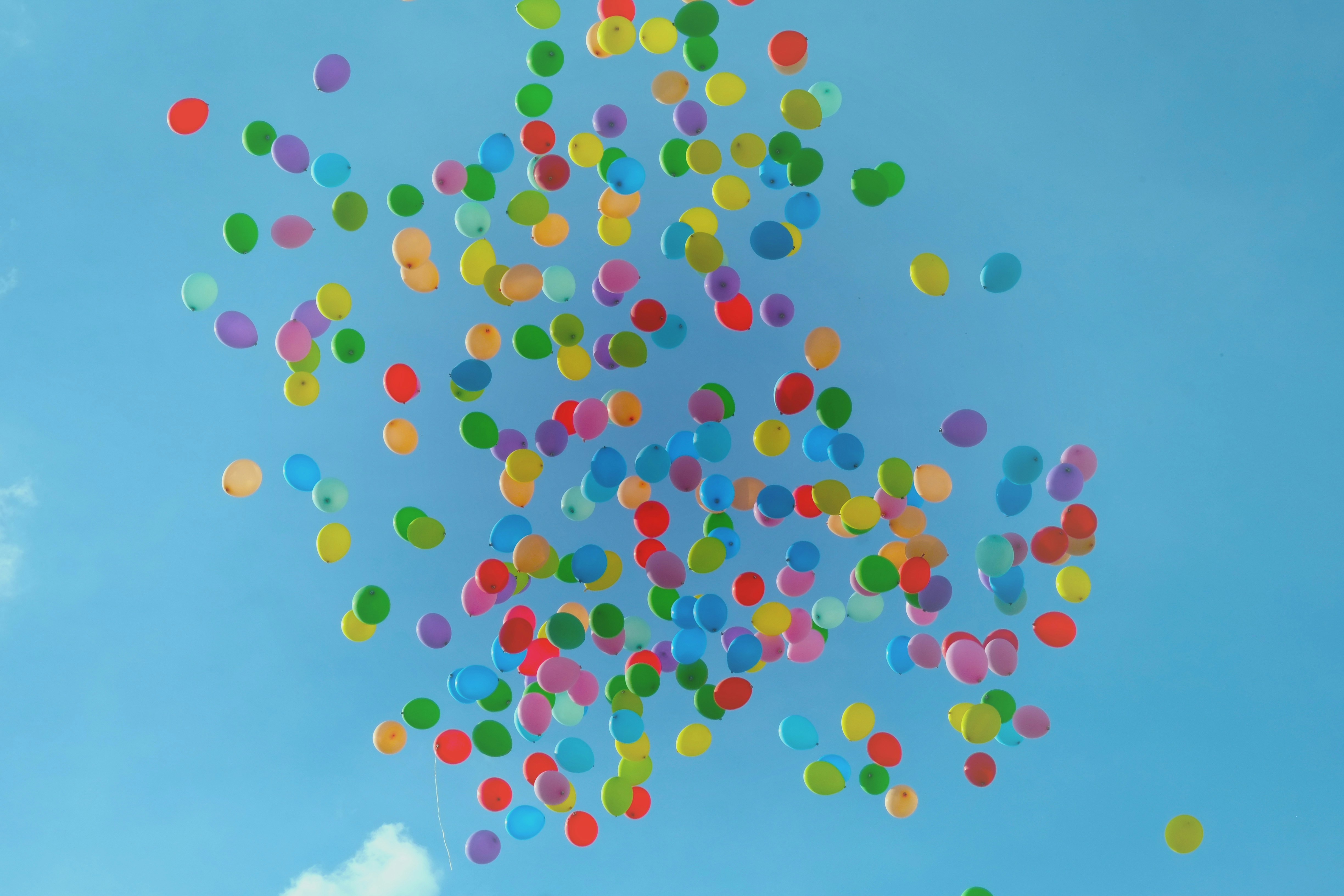 ippi is 11 years old!