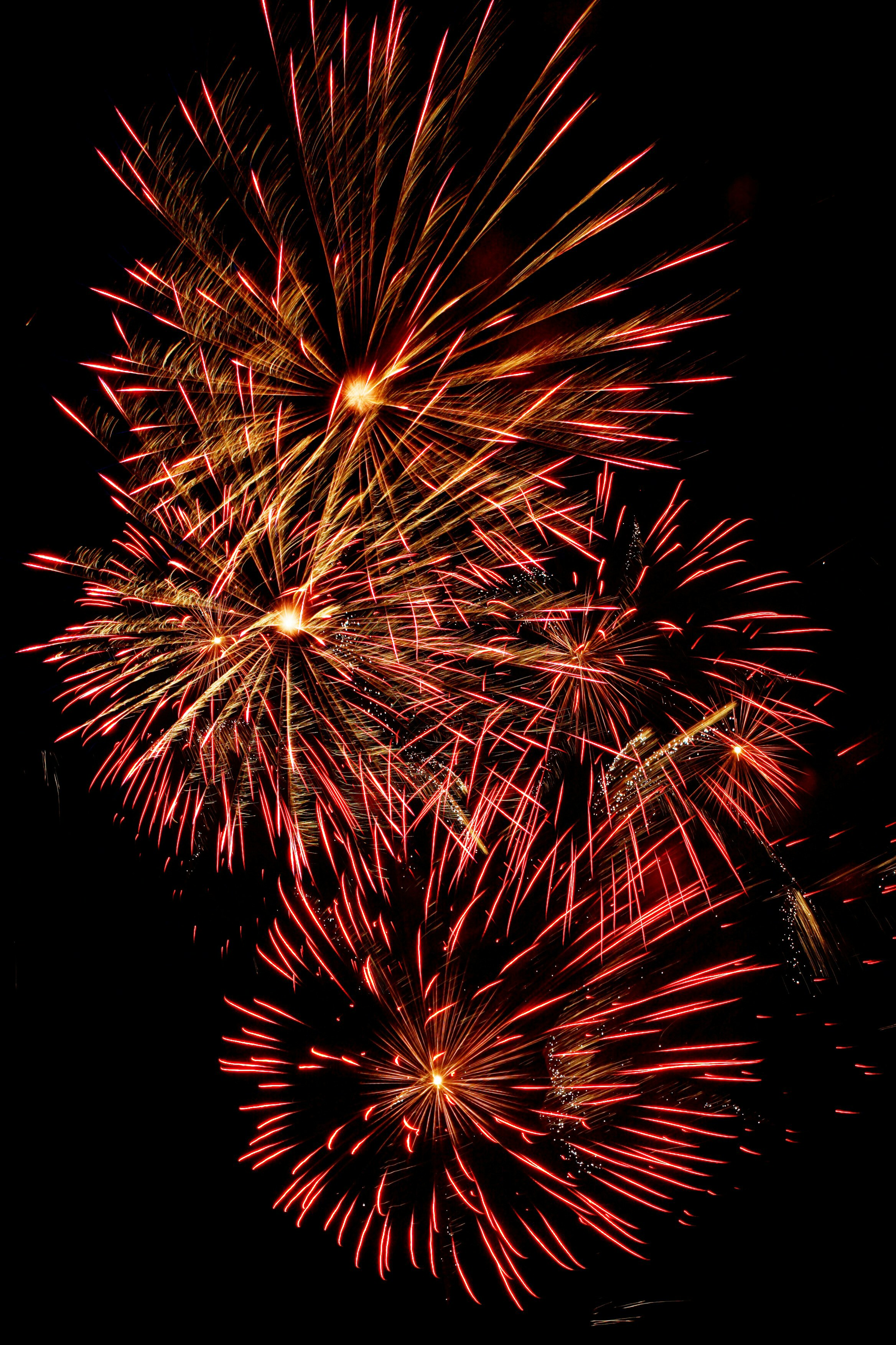 Bonne année 2023 : restons connectés avec ippi !