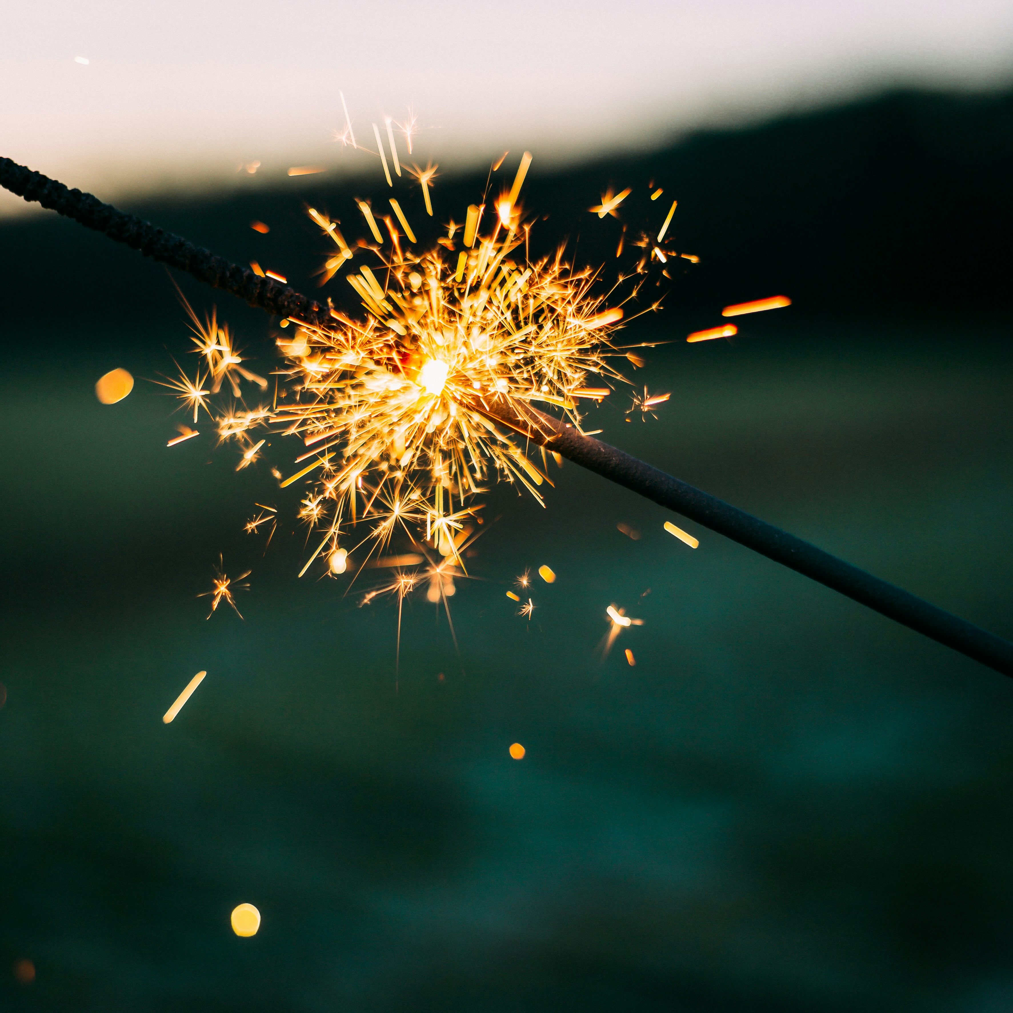 Bonne année 2025 : une nouvelle étape pour ippi !